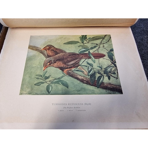 212 - HENRY (G M): 'Coloured Plates of the Birds of Ceylon...': published by the Ceylon Government, 1927: ... 