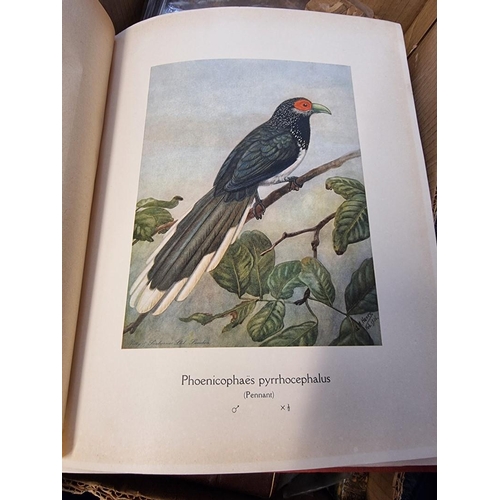 212 - HENRY (G M): 'Coloured Plates of the Birds of Ceylon...': published by the Ceylon Government, 1927: ... 