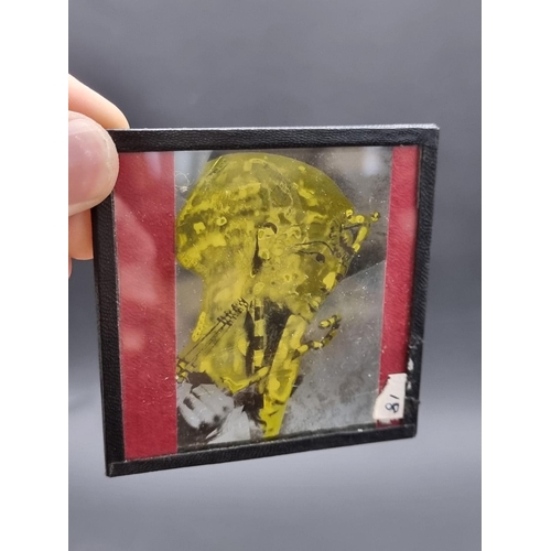 221 - MAGIC LANTERN SLIDES: EGYPT: a collection of approx 81 early 20thc glass lantern slides of Egypt and... 