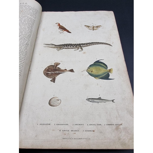 26 - MARTYN (William): 'New Dictionary of Natural History', 1785: with 100 hand-coloured plates: lacks fi... 