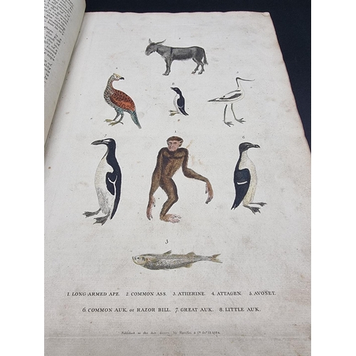 26 - MARTYN (William): 'New Dictionary of Natural History', 1785: with 100 hand-coloured plates: lacks fi... 