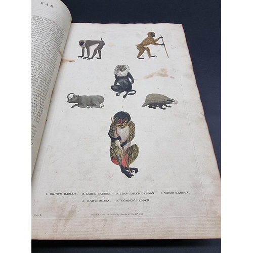 26 - MARTYN (William): 'New Dictionary of Natural History', 1785: with 100 hand-coloured plates: lacks fi... 