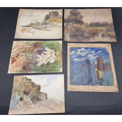 263 - WATERCOLOURS: a group of 26 watercolours on card and paper, earlier c20, attributed to Henry Haley, ... 