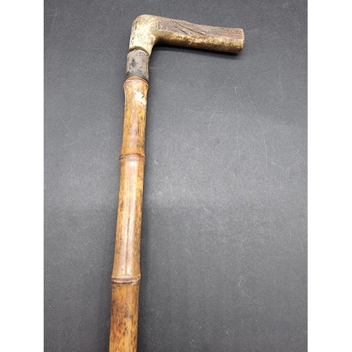 1651 - An Edwardian antler handled bamboo horse measuring stick, with silver collar, hallmarked 1905.... 