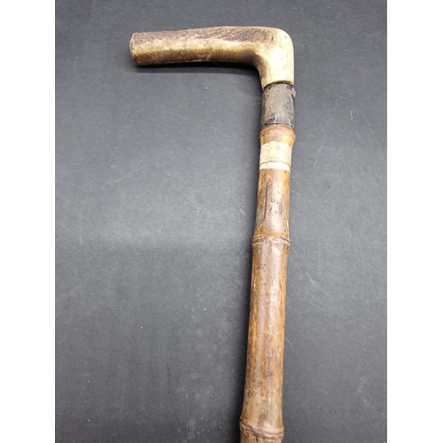 1651 - An Edwardian antler handled bamboo horse measuring stick, with silver collar, hallmarked 1905.... 