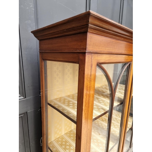 1004 - An Edwardian mahogany and line inlaid display cabinet, 94.5cm wide.