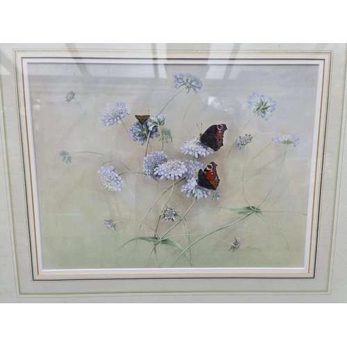 1207 - Sally *..., Butterflies and flowers, signed, watercolour, 28.5 x 38cm.