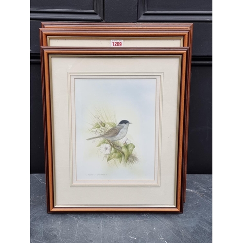 1209 - Andrew Osborne, British garden birds, a set of seven, each signed, watercolour, largest 31 x 22cm.... 