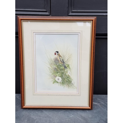 1209 - Andrew Osborne, British garden birds, a set of seven, each signed, watercolour, largest 31 x 22cm.... 