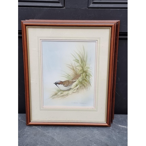 1209 - Andrew Osborne, British garden birds, a set of seven, each signed, watercolour, largest 31 x 22cm.... 