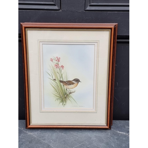 1209 - Andrew Osborne, British garden birds, a set of seven, each signed, watercolour, largest 31 x 22cm.... 