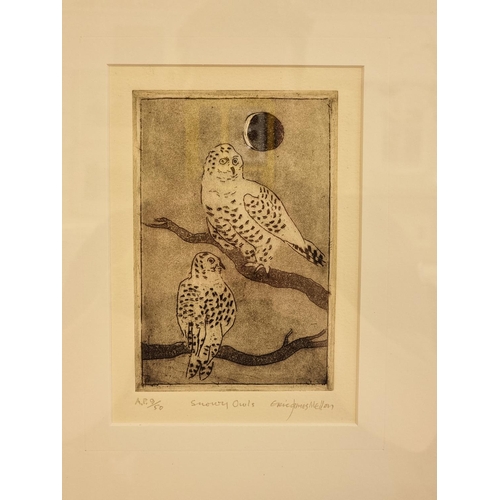 1270 - Eric James Mellon, 'Snowy Owls', signed, titled and numbered 9/50, etching, pl.15 x 10cm.... 