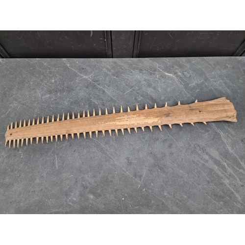 1594 - Natural History: a sawfish rostrum, with sixty two teeth, 92cm wide, (drilled).CITES Certi... 