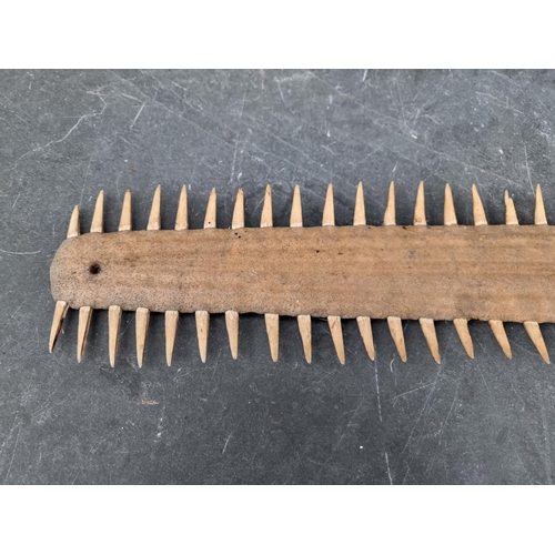 1594 - Natural History: a sawfish rostrum, with sixty two teeth, 92cm wide, (drilled).CITES Certi... 