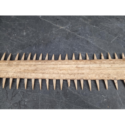 1594 - Natural History: a sawfish rostrum, with sixty two teeth, 92cm wide, (drilled).CITES Certi... 