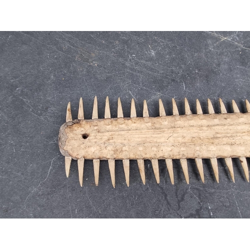 1594 - Natural History: a sawfish rostrum, with sixty two teeth, 92cm wide, (drilled).CITES Certi... 