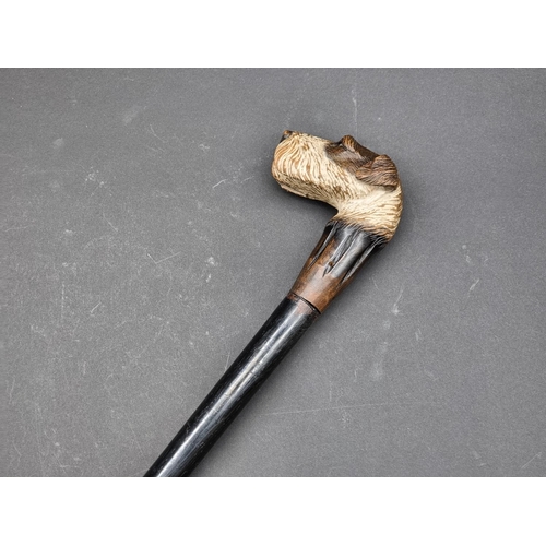 1598 - A novelty carved hounds head cane, realistically carved and with glass inset eyes, 92.5cm high.... 