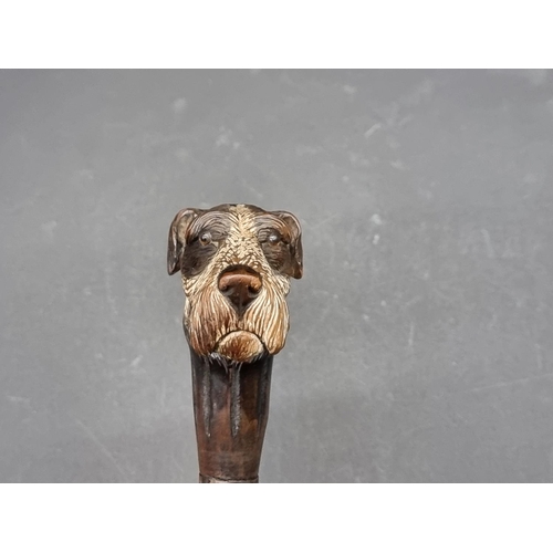 1598 - A novelty carved hounds head cane, realistically carved and with glass inset eyes, 92.5cm high.... 