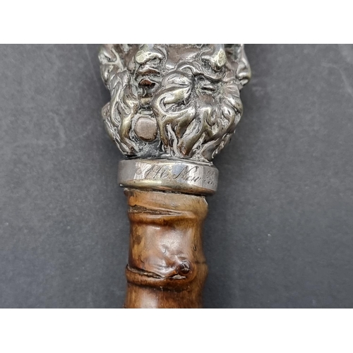 1599 - An unusual antique rootwood cane, the silver plated multi-faced terminal inscribed '146 New Bond St'... 