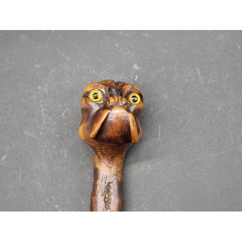 1600 - A novelty bulldog's head cane, with glass inset eyes, 90cm long.