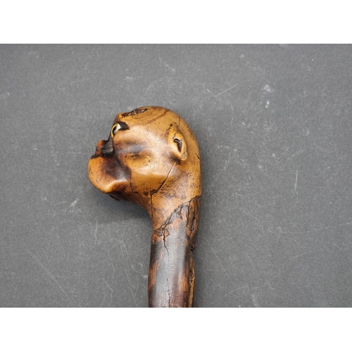 1600 - A novelty bulldog's head cane, with glass inset eyes, 90cm long.