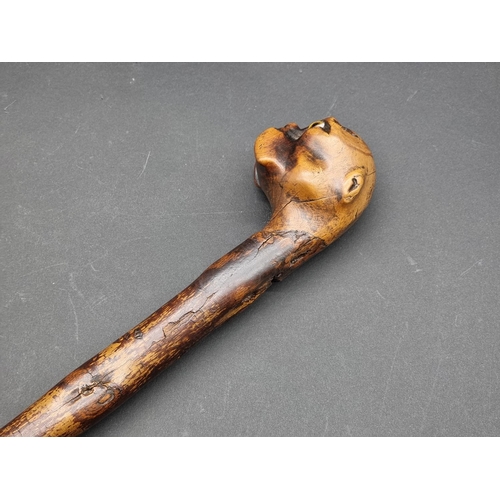 1600 - A novelty bulldog's head cane, with glass inset eyes, 90cm long.