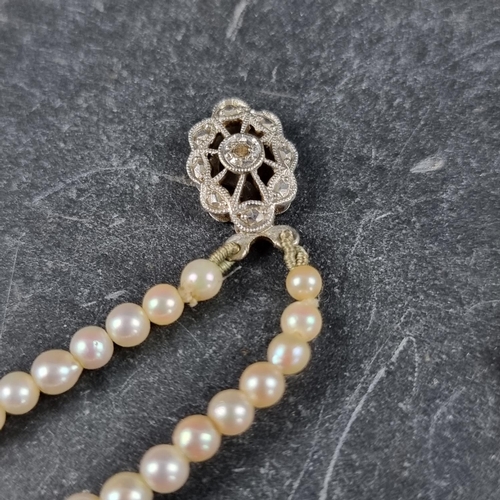 195 - A cased 'Rosita' cultured pearl necklace, having 9ct white gold clasp inset one diamond chip, 39cm.... 