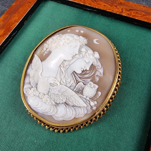 198 - A Victorian carved shell cameo brooch, in a yellow metal frame, 62 x 52mm.