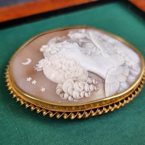 198 - A Victorian carved shell cameo brooch, in a yellow metal frame, 62 x 52mm.