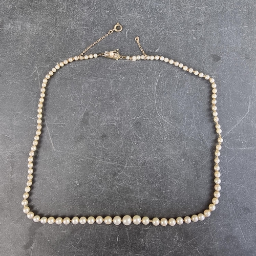 301 - A pearl necklace, having yellow metal clasp set two small diamonds and a pearl, 43cm long.... 