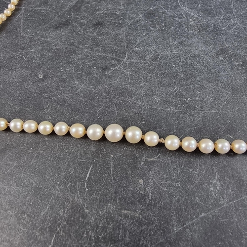 301 - A pearl necklace, having yellow metal clasp set two small diamonds and a pearl, 43cm long.... 