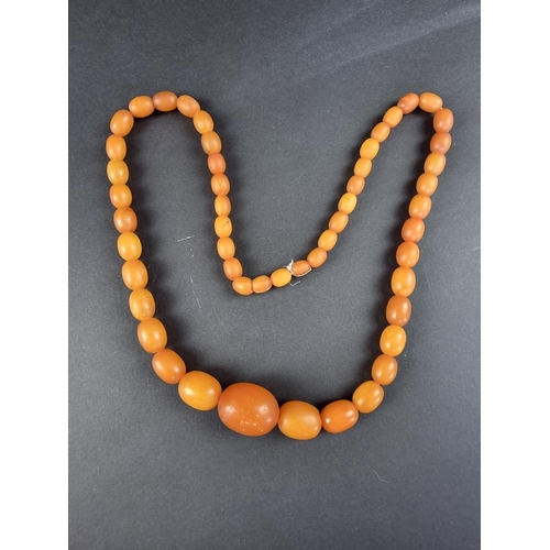 317 - A graduated amber bead necklace, 64cm long, gross weight 52.8g.