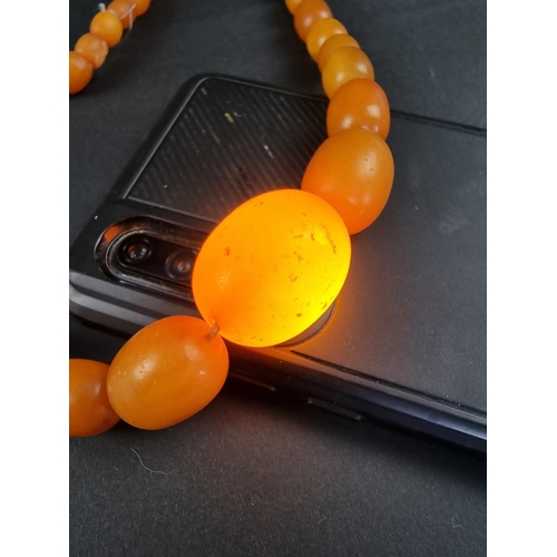 317 - A graduated amber bead necklace, 64cm long, gross weight 52.8g.