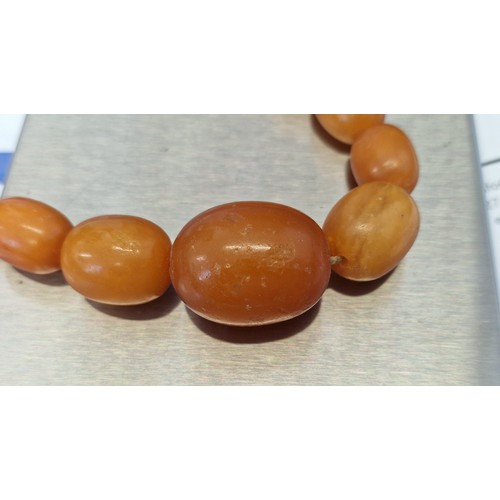 317 - A graduated amber bead necklace, 64cm long, gross weight 52.8g.