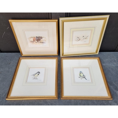 1123 - Mandy Shepherd, 'Blue Tit'; 'Great Tit'; 'Terns', a set of three, each signed, watercolour, largest ... 