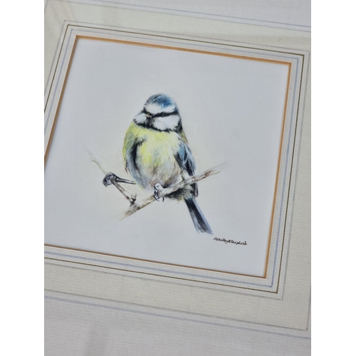 1123 - Mandy Shepherd, 'Blue Tit'; 'Great Tit'; 'Terns', a set of three, each signed, watercolour, largest ... 