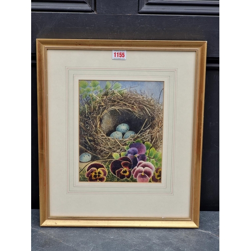 1155 - British School, Song Thrush nest with pansies, watercolour, 24 x 19.5cm.