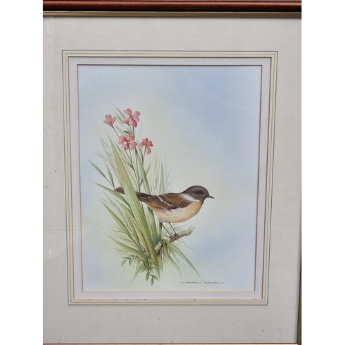 1167 - Andrew Osborne, British garden birds, a set of seven, each signed, watercolour, largest 31 x 22cm. (... 