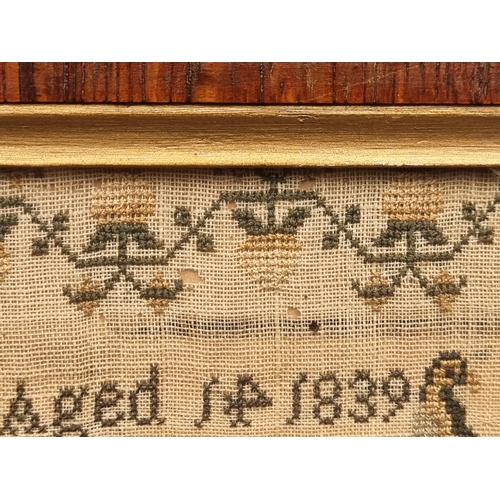 1207 - A good early Victorian needlework verse sampler, inscribed 'Elisabeth Dodge, Aged 14, 1839', 40.5 x ... 