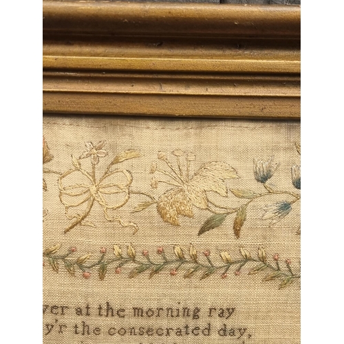 1208 - A good and unusual William IV petit point and stumpwork sampler, inscribed 'Mary Penney, 1829', 45 x... 