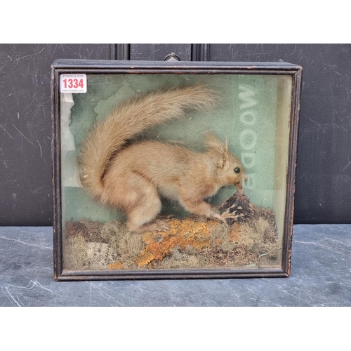 1334 - Taxidermy: a Red Squirrel, in a glass fronted case, 27 x 30cm, (glass cracked).