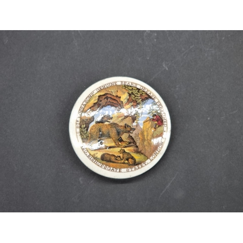 1388 - A rare Victorian 'Ross & Sons' Genuine Bear's Grease...' pot lid, 8.1cm diameter.... 