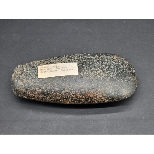 1396 - A Neolithic stone axe head, 21cm long, with museum exhibit label.