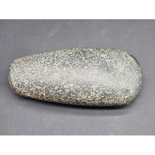 1396 - A Neolithic stone axe head, 21cm long, with museum exhibit label.