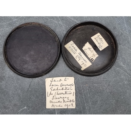 1404 - Four early 19th century Stobwasser style circular boxes and covers, largest 9cm diameter. (3)... 