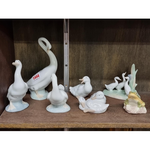 1444 - Six Nao birds, largest 20cm high; together with a Lladro frog. (7)