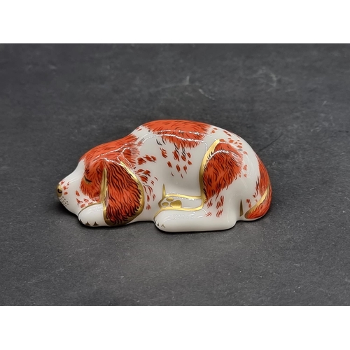 1560 - Royal Crown Derby Imari paperweights: 'Puppy', with gold stopper.