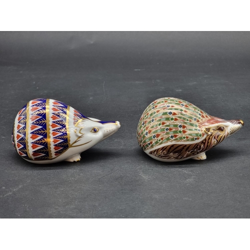 1579 - Royal Crown Derby Imari paperweights: two 'Hedgehogs', comprising one 'Ashbourne' example, with gold... 