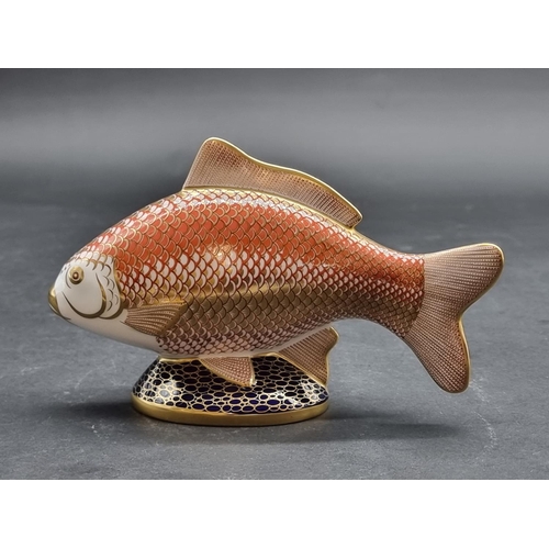 1594 - Royal Crown Derby Imari paperweights: 'Golden Carp', with gold stopper.