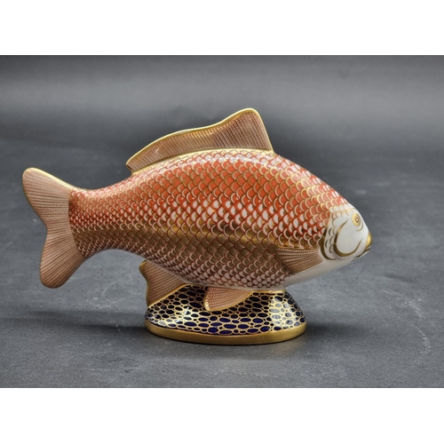 1594 - Royal Crown Derby Imari paperweights: 'Golden Carp', with gold stopper.